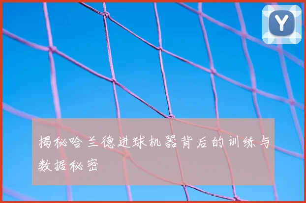 揭秘哈兰德进球机器背后的训练与数据秘密