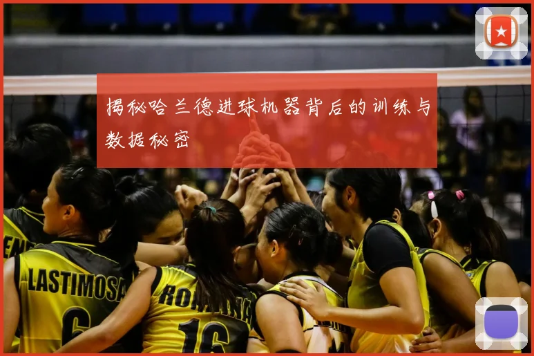 揭秘哈兰德进球机器背后的训练与数据秘密